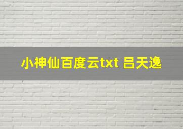 小神仙百度云txt 吕天逸